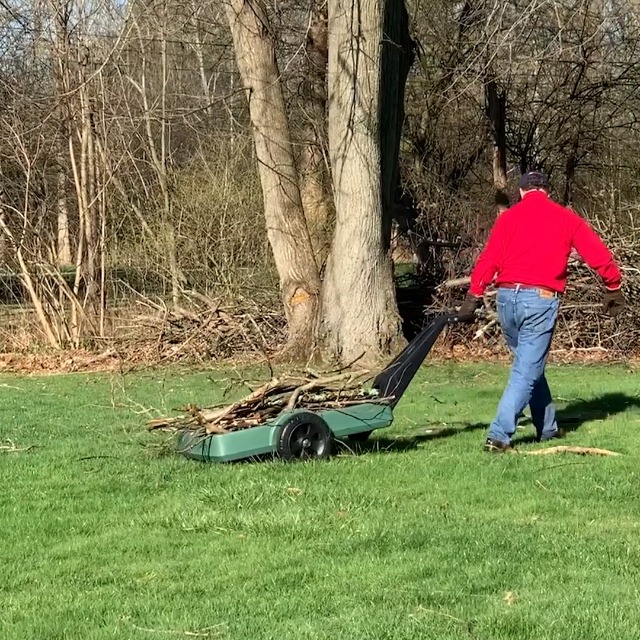 raw garden live resin carts