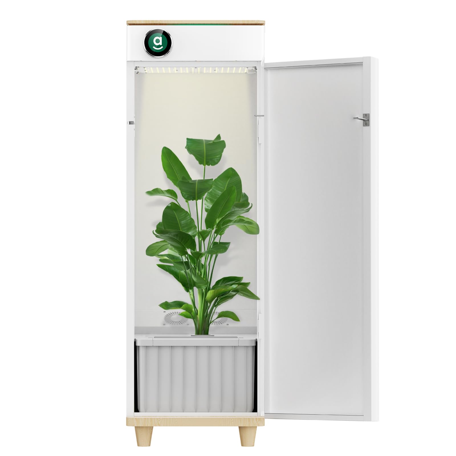 Hydroponic grow boxes