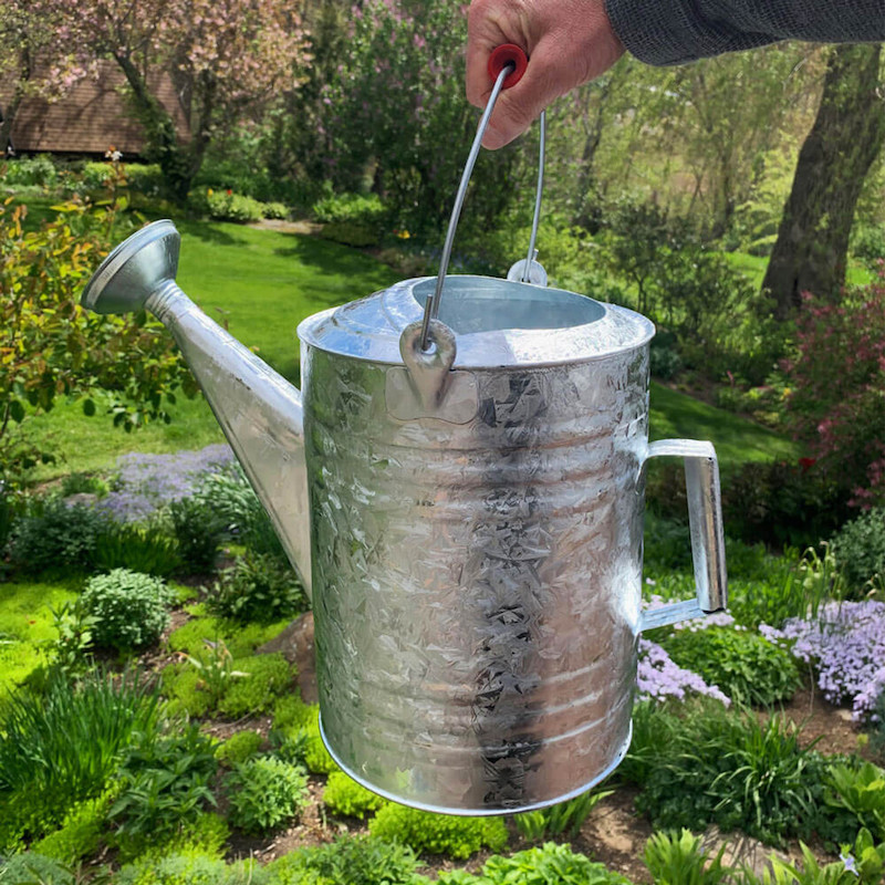 5 gallon galvanized watering can