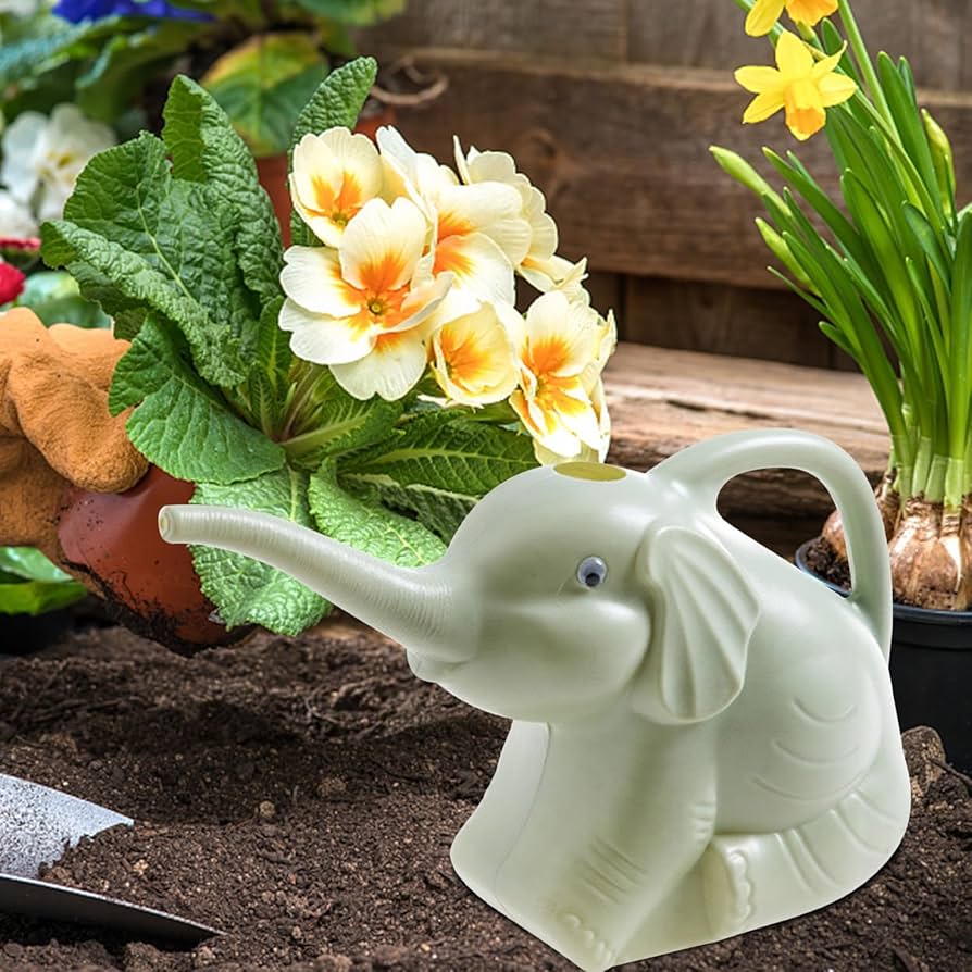 decorative watering can